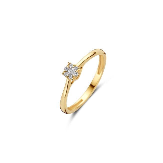 Blush Natural Diamonds Ring 1665YDI - Geelgoud (14 …