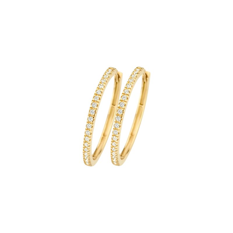 Blush Oorringen 7306YZI - Geel Goud (14k) met Zirk …
