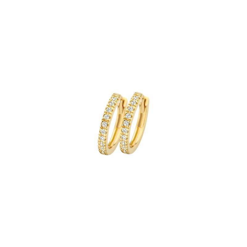 Blush Oorringen 7307YZI - Geel Goud (14k) met Zirk …