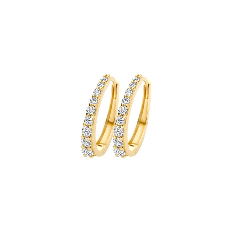 Blush Oorringen 7342YZI - Geelgoud (14k) met Zirko …