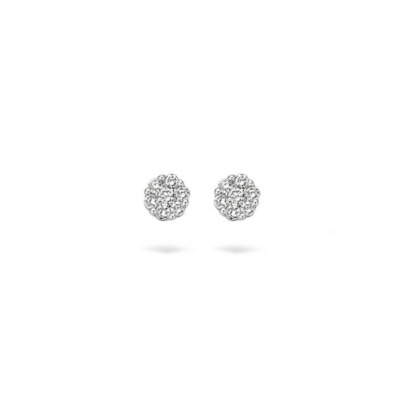 Blush Diamonds Oorknoppen 7604WDI