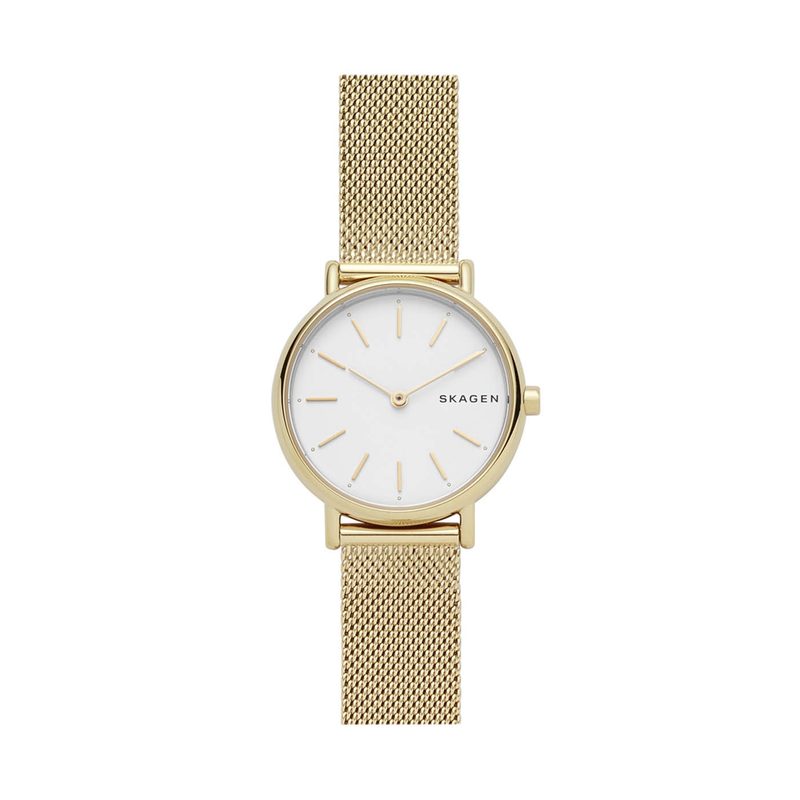 Skagen Horloge SKW2693