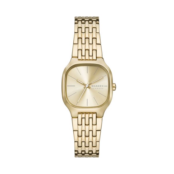 Skagen Horloge SKW3162